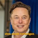 elon musk vermögen
