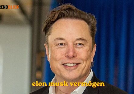 elon musk vermögen
