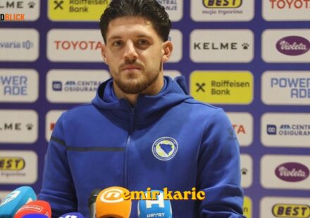 emir karic