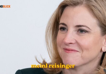 meinl reisinger